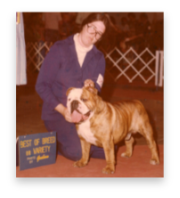 stacks_image_17984C3F-7CC9-48D8-908D-325725A93AAC